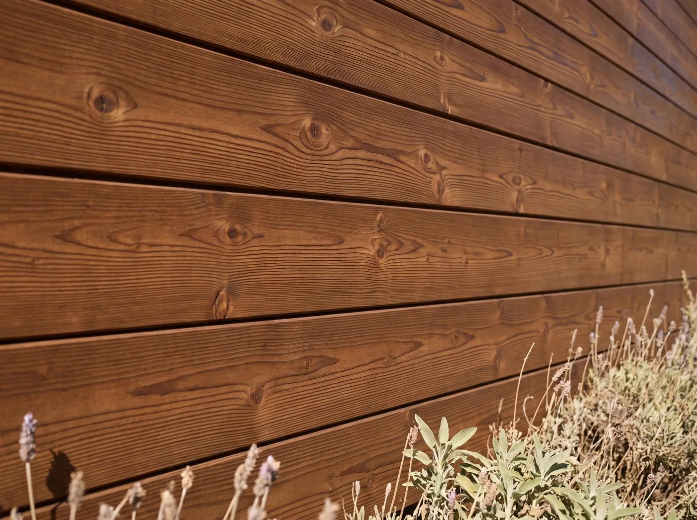 South-facing thermowood facade in direct sun with clean sound knots and no resin bleed